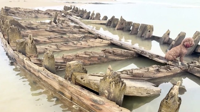 erosi-pantai-parah-yang-disebabkan-oleh-topan-kalmaegi-pada-sabtu-mengungkap-kerangka-kapal-dagang-kayu-berusia-berabad-abad-d-1762992973740_169