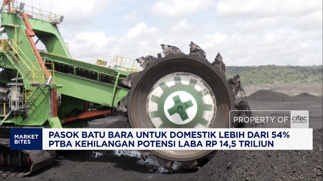 pasok-batu-bara-untuk-domestik-lebih-dari-54-1789530546692_169