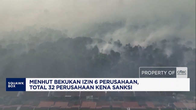 menhut-bekukan-izin-6-perusahaan-total-32-perusahaan-kena-sanksi-1792640428322_169