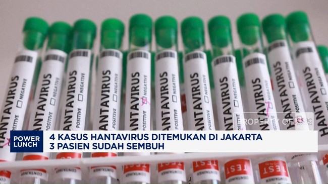 4-kasus-hantavirus-ditemukan-di-jakarta-3-pasien-sudah-sembuh-1778569229449_169