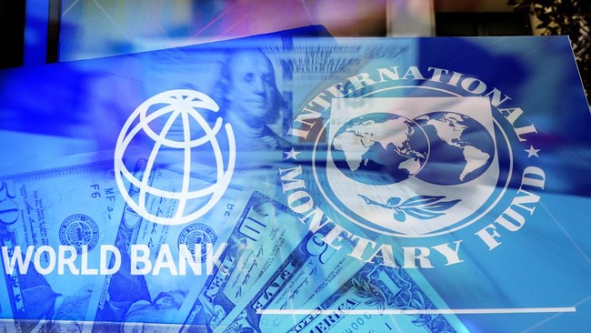 5-macan-asia-versi-bank-dunia-dan-imf-ada-indonesia-1749807019312_169