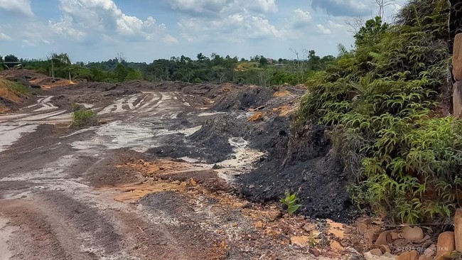 area-hutan-lindung-bukit-tengkorak-di-desa-sukomulyo-kabupaten-penajam-paser-utara-kalimantan-timur-tampak-rusak-akibat-aktivi-1759903750359_169