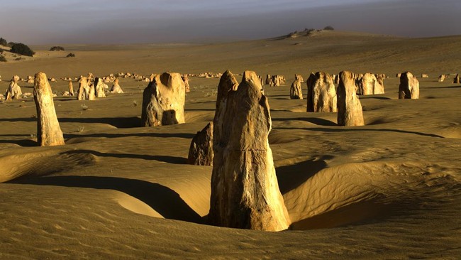 australia-barat-taman-nasional-nambung-formasi-batu-kapur-disebut-pinnacles-saat-senja_169