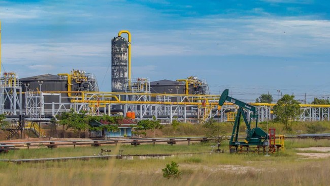blok-minyak-dan-gas-bumi-migas-yang-dioperasikan-pt-pertamina-hulu-energi-phe-1763344161408_169