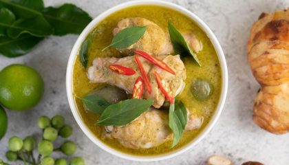 ilustrasi-masakan-opor-1774070797531_169