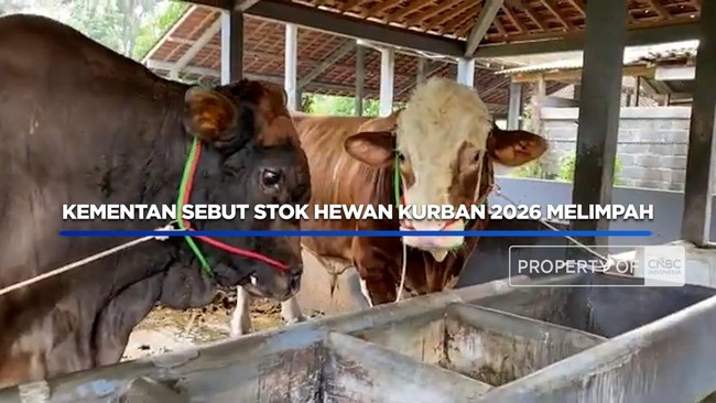 kementan-sebut-stok-hewan-kurban-2026-melimpah-1779945142334_169