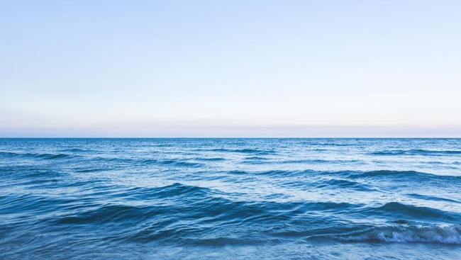 laut-dok-freepik-1744793341969_169