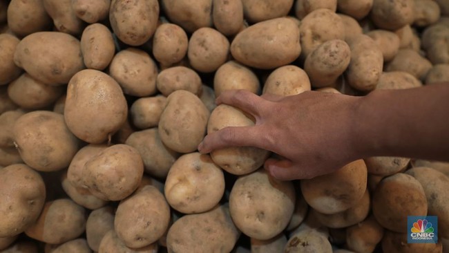 pedagang-kentang-di-pasar-induk-keramat-jati-jakarta-rabu-222022-cnbc-indonesiamuhammad-sabki-3_169