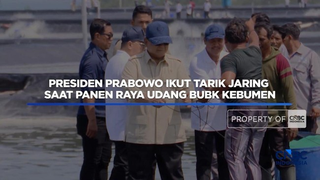 presiden-prabowo-ikut-tarik-jaring-saat-panen-raya-udang-di-kebumen-1779602922265_169