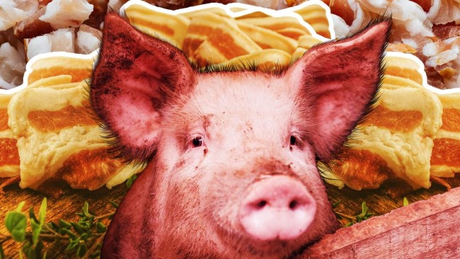 produksi-daging-babi-ri-terus-merosot-virus-dari-afrika-jadi-pemicu-1747212421022_169