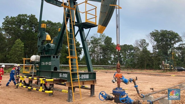 proses-produksi-minyak-di-blok-minyak-rokan-yang-dioperasikan-pt-pertamina-hulu-rokan-phr-lokasi-sumur-ho-5g-0108b-duri-field-6_169