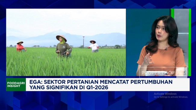 ri-masih-bergantung-gandum-kedelai-impor-pr-ketahanan-pangan-ri-1778127034612_169