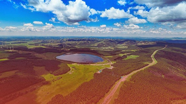 saihanba-di-chengde-hebei-kini-jadi-hutan-buatan-terbesar-dunia-seluas-76700-hektare-dengan-82-tutupan-hijau-hasil-puluhan-tah-1755146914108_169
