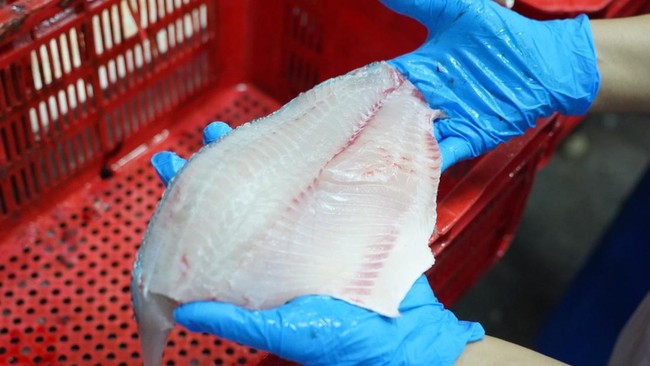 tilapia-fillet-1779026958662_169