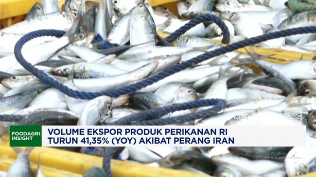volume-ekspor-produk-perikanan-ri-turun-4135-yoy-akibat-perang-iran-1778468891557_169