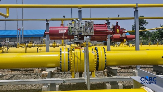 wakil-menteri-energi-dan-sumber-daya-mineral-esdm-yuliot-tanjung-didampingi-direktur-jenderal-minyak-dan-gas-bumi-laode-sulaem-1773835118552_169