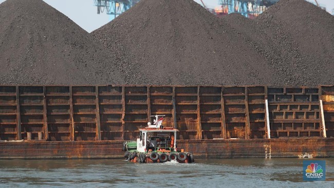 kapal-tongkang-batu-bara-cnbc-indonesiatri-susilo-5_169