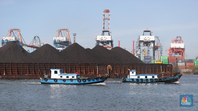 kapal-tongkang-batu-bara-cnbc-indonesiatri-susilo-8_169
