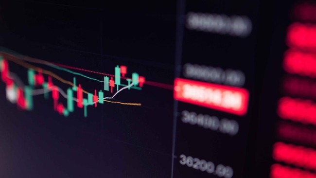 market-1780364258-1780364259085_169