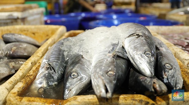 potret-ekspor-produk-perikanan-cnbc-indonesiatri-susilo-4_169