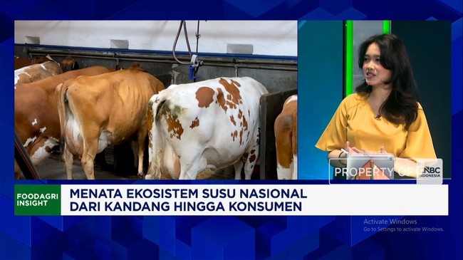 ri-masih-tergantung-susu-impor-produksi-peternak-lokal-rendah-apa-masalahnya-1781154894889_169