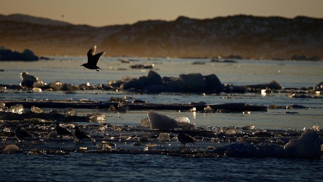 sebuah-bongkahan-es-mengapung-di-perairan-laut-dekat-nuuk-greenland-30-januari-2026-reutersfedja-grulovic-1770210579619_169