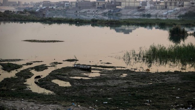suasana-sungai-tigris-di-baghdad-irak-negara-yang-sangat-terdampak-oleh-perubahan-iklim-telah-dilanda-kekeringan-dan-curah-huj-1765973136701_169