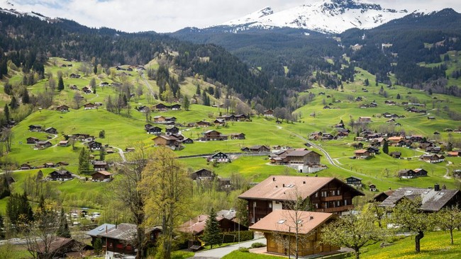 swiss-1744616812034_169