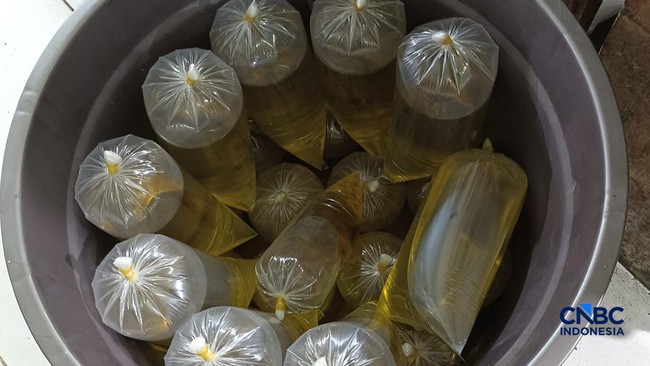 pantauan-harga-minyak-goreng-di-pasar-rumput-jakarta-selatan-jumat-2442026-1777021179948_169