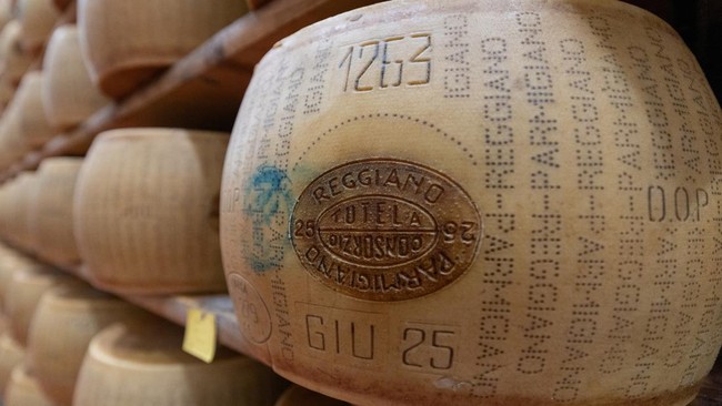 pola-bintik-bintik-pada-kulit-keju-yang-memastikan-keaslian-keju-parmigiano-reggiano-di-ruang-penyimpanan-keju-credito-emilian-1783928629284_169