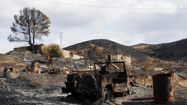 sebuah-kendaraan-yang-terbakar-di-area-yang-terbakar-setelah-kebakaran-hutan-mematikan-di-almocaizar-almeria-spanyol-12-juli-2-1783860059447_169