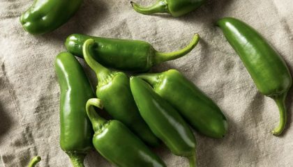 cabai-jalapeno-1786099629699_169