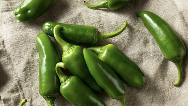 cabai-jalapeno-1786099629699_169