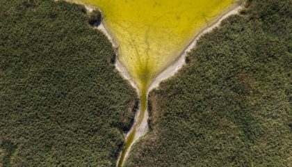 foto-udara-menujukkan-menurunnya-permukaan-air-di-danau-velence-hungaria-kamis-682026-permukaan-air-di-danau-velence-diprediks-1786018517641_169