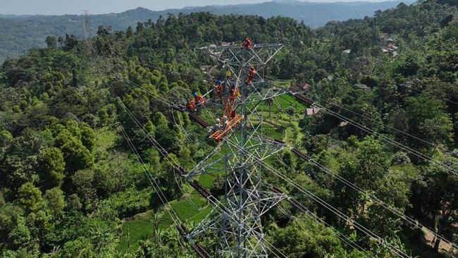 ilustrasi-petugas-pln-yang-sedang-melakukan-pemeliharaan-jaringan-listrik-sutt-150-kv-pratubayah-banten-guna-menjaga-keandalan-1783078567125_169