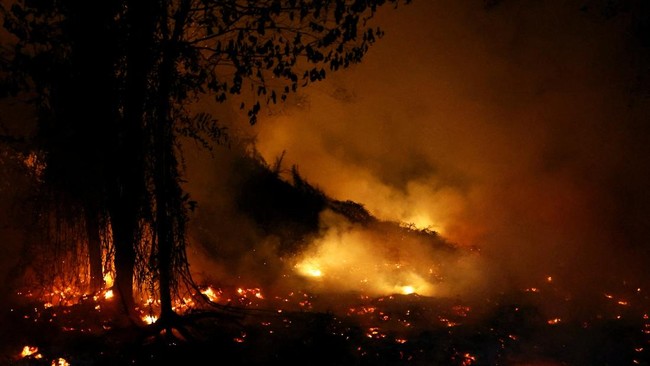 kebakaran-lahan-di-pulang-pisau-provinsi-kalimantan-tengah-rabu-1282028-reutersajeng-dinar-ulfiana-1786605747964_169
