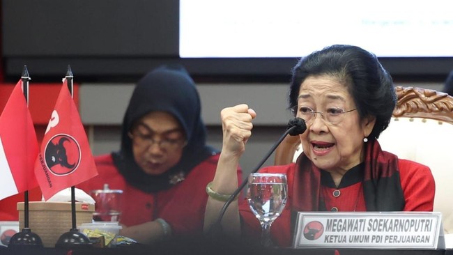 ketua-umum-pdi-perjuangan-megawati-soekarnoputri-1740020915174_169