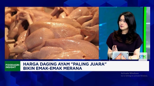 mbh-kenaikan-harga-pakan-dorong-lonjakan-harga-daging-ayam-kenapa-1786509278299_169