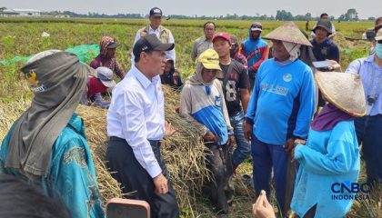 menteri-pertanian-sekaligus-kepala-bapanas-amran-sulaiman-saat-melakukan-inspeksi-mendadak-sidak-di-kabupaten-karawang-jawa-ba-1788157008786_169