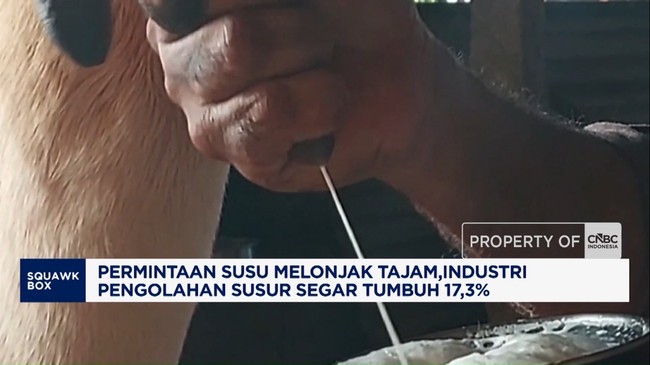 permintaan-susu-melonjak-industri-pengolahan-susu-segar-tumbuh-173-1786070439262_169