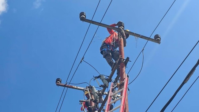 pln-1787061629300_169