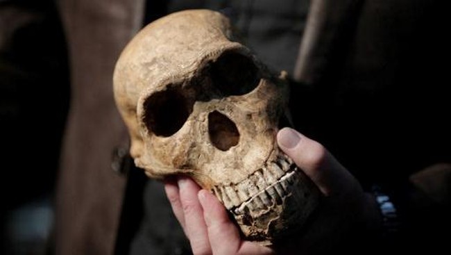 safrica-science-paleontology-evolution-human-1_169