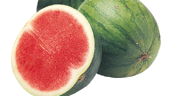 semangka-merah-transmart_169