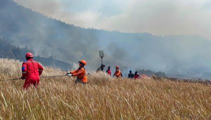 tim-gabungan-melakukan-pemadaman-darat-menggunakan-gepyok-dan-sprayer-di-kecamatan-sukapura-kabupaten-probolinggo-jawa-timur-r-1785987909191_169
