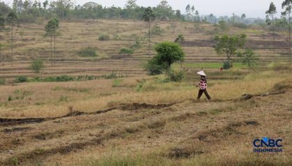 kekeringan-lahan-pertanian-di-jonggol-kab-bogor-jawa-barat-kamis-2782026-1787824527858_169